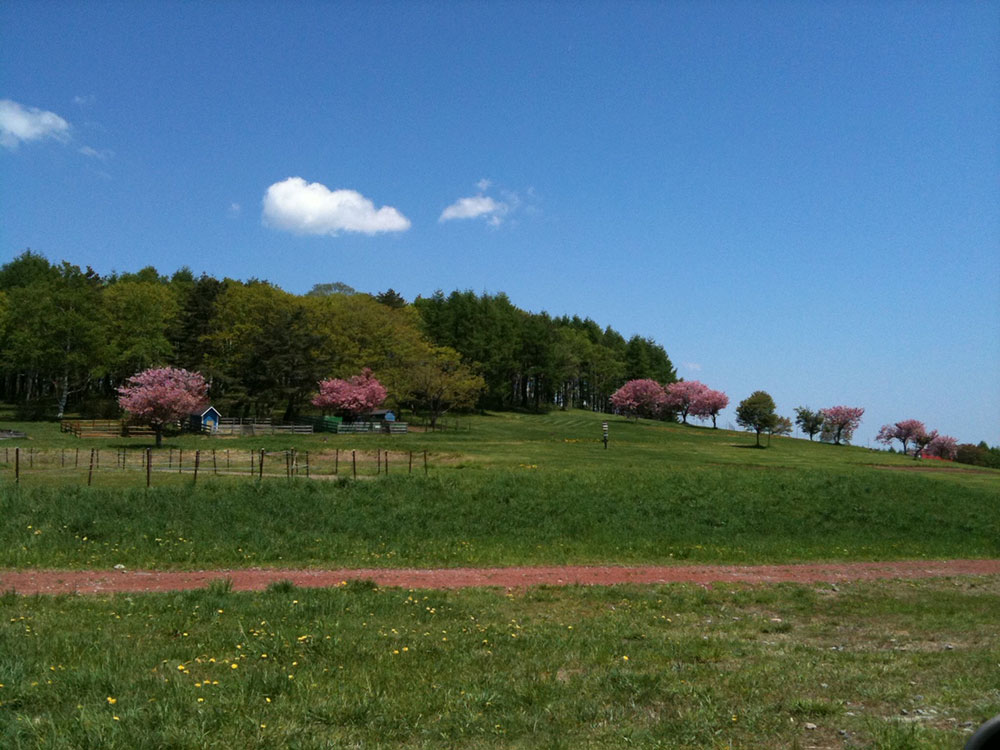 安比高原